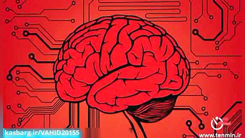 10 واقعیت جذاب و عجیب در مورد مغز انسان