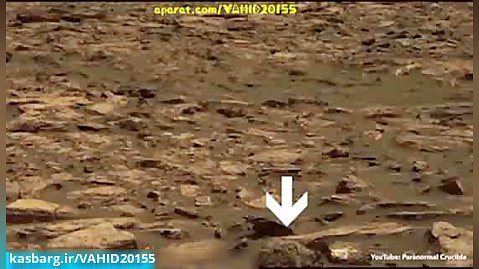 مشاهده موجودی وحشتناک در سیاره مریخ/۱۰۰%واقعی