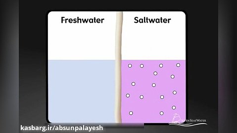 How Seawater Desalination Works