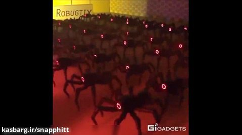 ربات های جالبی که از روی حیوانات مختلف شبیه سازی شدند