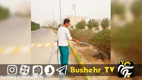 بوشهر تی وی
