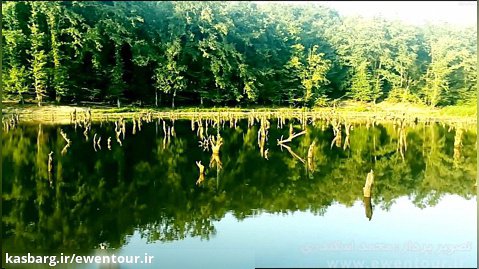 دریاچه ای عجیب با درختان شکسته در ایران