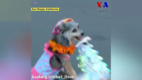 رژه حیوانات خانگی در سان دیگو