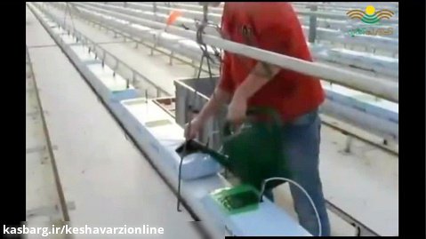 آماده سازی گلخانه و بستر کاشت برای کشت گوجه فرنگی هیدروپونیک