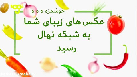 میان برنامه خوش‌مزه- جمعه 10 اسفند