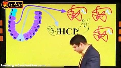 پکیج کامل آموزش زیست کنکور- رابطه پپسینوژن و اسید معده