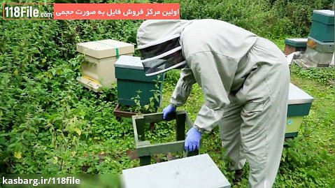 آموزش زنبورداری-ادغام دو کندو با هم