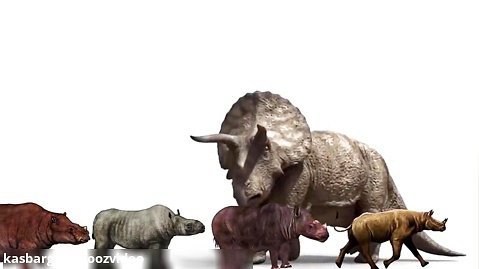 Triceratops vs Rhino and Elephant Size Comparison