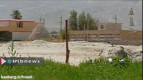 آخرین وضعیت مناطق آلوده به ملخ در فارس