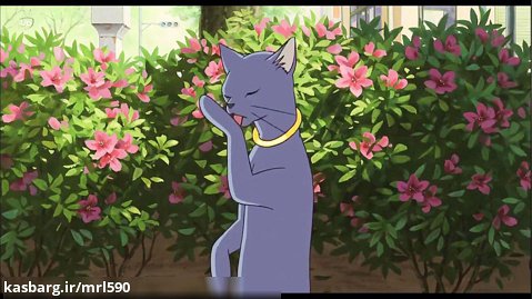انیمیشن بازگشت گربه The Cat Returns 2002 دوبله فارسی