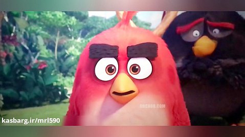 کارتون پرندگان خشمگین 2 Angry Birds 2 2019 | کانال 590