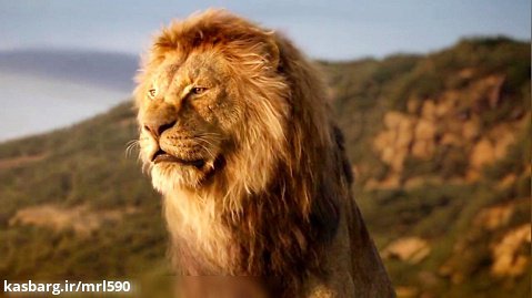 انیمیشن شیرشاه The Lion King 2019 زیرنویس فارسی  | کیفیت بالا | کانال 590