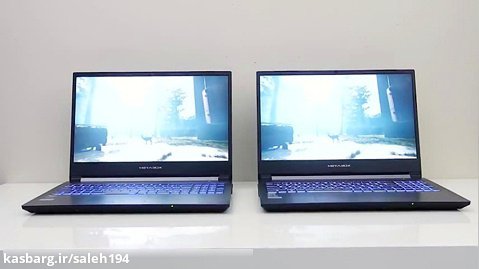 GTX 1660 Ti vs RTX 2060 - Gaming Laptop Comparison