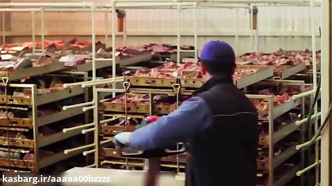 ویدیویی از یک کارخانه ی تولید تن ماهی