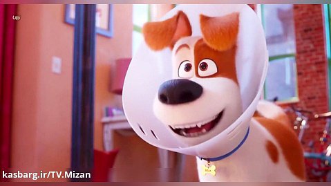 انیمیشن ماجراجویی « زندگی پنهان حیوانات 2 - 2019 » دوبله فارسی