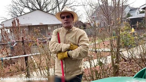 باغبانی با صابر: اهمیت نظافت و برگ روبی پاییزی