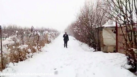 گزارش تصویری از طبیعت زیبای برفی یکی از کوچه باغ ها