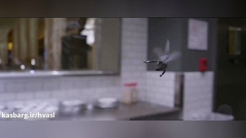 دانلود دوبله فارسی فیلم مرد مورچه 2 2019 | مرد مورچه ای و زنبورک