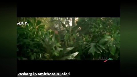 سکانس سوم انیمیشن سینمایی ( لونی تونز بازگشت به مبارزه ) - دوبله فارسی