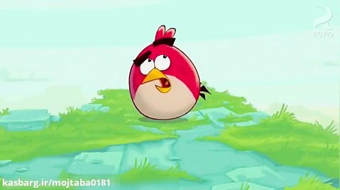 انیمیشن پرندگان خشمگین قسمت پنجم