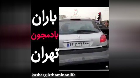 باران بادمجان در ایران