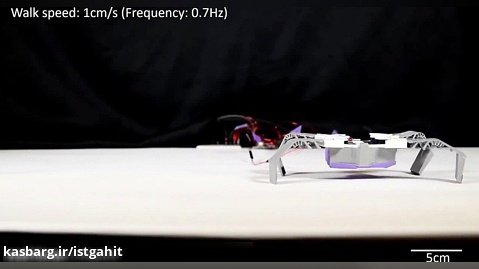 چاپ سه بعدی ربات هایی شبیه حشره در چند دقیقه