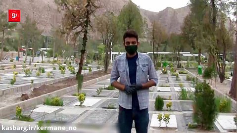 بررسی شایعه قطع درختان جنگل قائم در کرمان