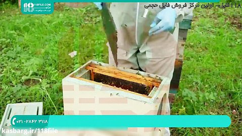 فیلم آموزش زنبورداری | زنبورداری مدرن ( پرورش ملکه )28423118-021