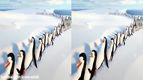 فیلم سه بعدی واقعیت مجازی پنگوین های ماداگاسکار