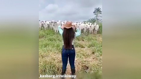 حنا دختری در مزرعه (:-)  | ویدئو وایرال