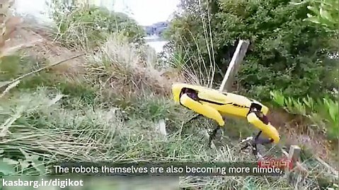 سگ رباتیک اسپات چوپانی می‌کند