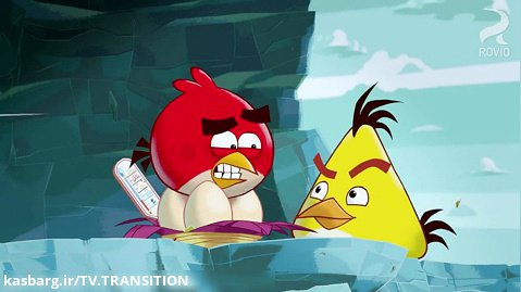 انیمیشن پرندگان خشمگین