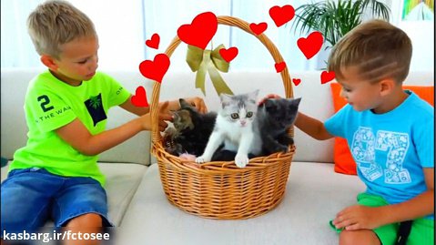ولاد و نیکیتا |ولاد و نیکی با بچه گربه ها بازی می کنند |  Vlad and Nikita