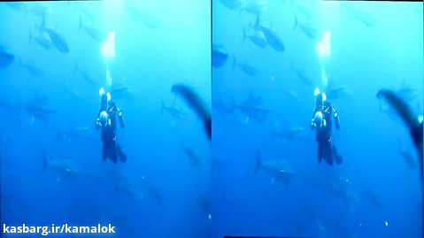فیلم سه بعدی واقعیت مجازی - غواصی زیر آب