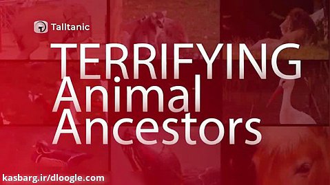 اجداد حیوانات - عجیب ترین موارد جهان
