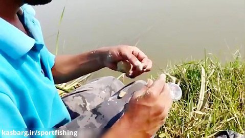 بهترین طعمه برای ماهیگیری در سد و ماهیگیری با قلاب دستی