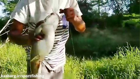 ماهیگیری اسان اسبله بزرگ با قلاب در یک برکه کوجک
