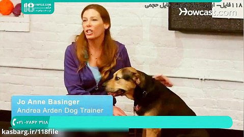 آموزش و تربیت سگ | تربیت سگ های خانگی ( نحوه آموزش سگ به دراز کشیدن )02128423118