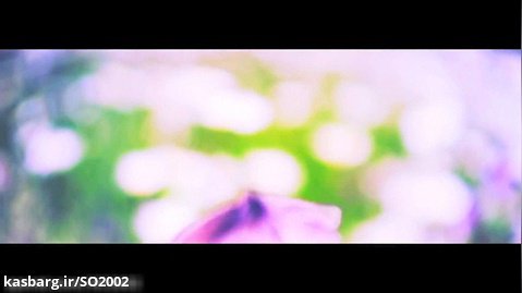 방탄소년단(BTS) Butterfly MV