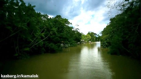 بازدید مجازی از طبیعت آمازون در سه کشور مختلف
