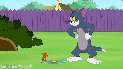 کارتون تام و جری ( موش و گربه ) جدید سگ پیر 105 ساله