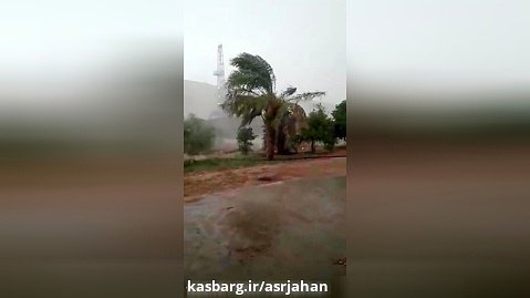 وزش باد شدید و بارش باران در شهرستان بهمئی+فیلم