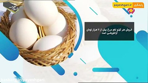فروش تخم مرغ بیش از 11 هزار تومان گرانفروشی است