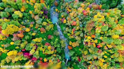 2_پاییز در جنگل هیرکانی - ایران با کیفیت 4k