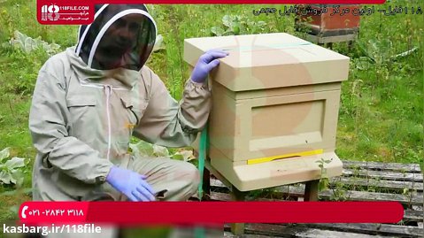 آموزش زنبورداری | پرورش زنبورعسل | زنبورداری و برداشت عسل (0 تا 100 زنبورداری)