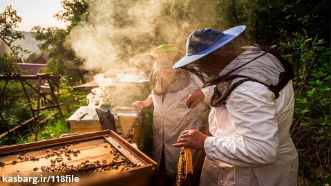 آموزش زنبورداری | نگهداری زنبور عسل ( گذراندن زمستان کندوهای چندگانه )