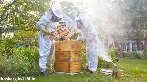آموزش زنبورداری | نگهداری زنبور عسل ( جابجا کردن کندوها )